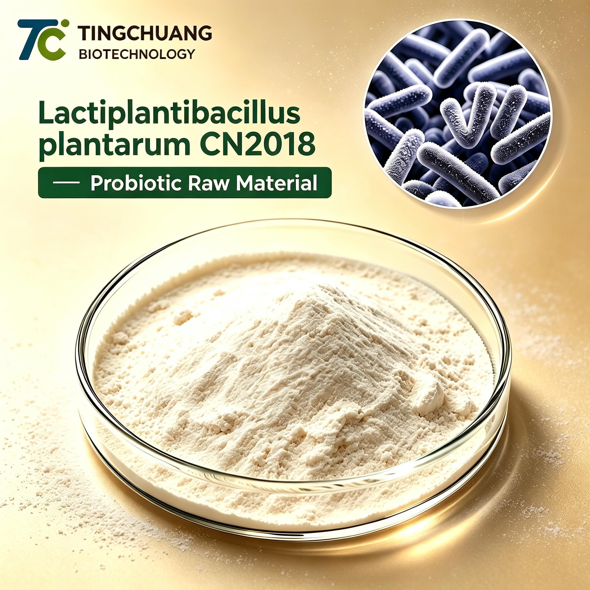 Lactobacillus Plantarum CN2018 Probiotic Raw Material Powder for Gut Health Supplements and Bulk Probiotic Ingredient Manufacturing